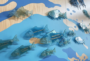 Glass Salmon Mural at Oregon Coast Aquarium by Jay Hoyt Curtis