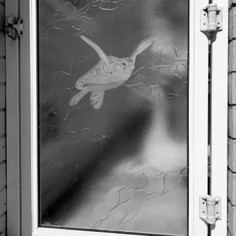 Custom Designed Glass Gate Panel Designed and Fabricated for an Existing Metal Gate Frame, Featuring a Sea Turtle and Kelp Backdrop