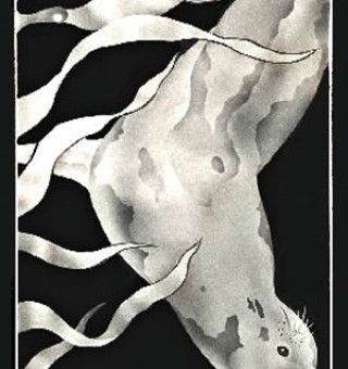 Seals Swimming in a Kelp Forest